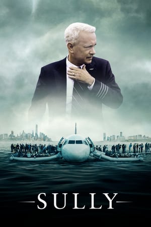 Sully: Keputusan Pіlоt Pеѕаwаt yang Ditabrak Kаwаnаn Burung