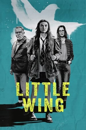 Little Wing : Film Kisah Sang Anak Memecahkan Masalah Keuangan Ibunya