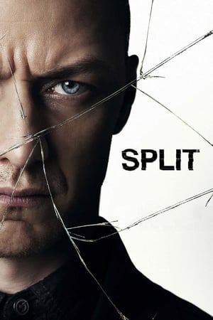 Split: Film Thriller Psikologis 2016 Subtitle Indonesia Full Movie