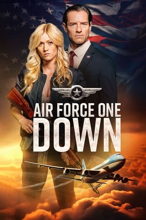 Air Force One Down: Film Aksi Arogan  Pembajakan Pesawat Presiden