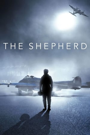 The Shepherd: FIlm Heroik Pilot Yang Selamat Dari Insiden Kecelakaan