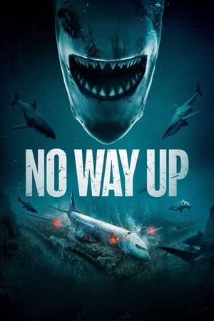 No Way Up: Film Terbaru 2024 Genre Horor dan Survival